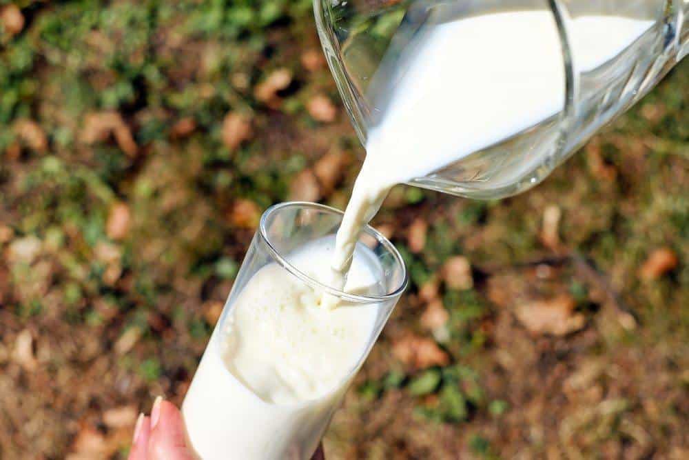 Milk Milk